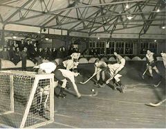 Hockey-on-Roller-Skates-Palace-Pier.-1934.